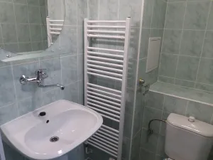 Pronájem bytu 1+kk, Brno, Heršpická, 23 m2