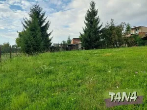 Prodej pozemku pro bydlení, Mnichovo Hradiště, 1004 m2