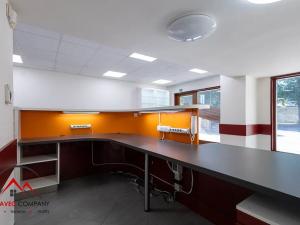 Pronájem obchodního prostoru, Ostrava, 160 m2