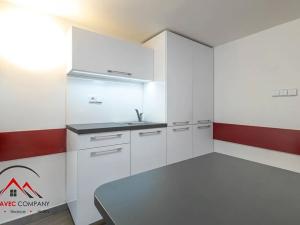 Pronájem obchodního prostoru, Ostrava, 160 m2