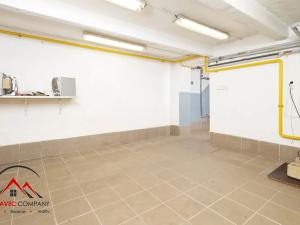 Pronájem obchodního prostoru, Ostrava, 160 m2