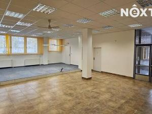 Pronájem obchodního prostoru, Tábor, Světlogorská, 285 m2