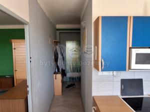Prodej bytu 1+1, Slapy, 46 m2
