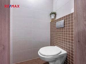 Pronájem bytu 1+kk, Praha - Vršovice, Petrohradská, 30 m2