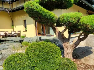Prodej rodinného domu, Sulice, Úzká, 265 m2
