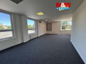 Pronájem komerční nemovitosti, Ostrava - Přívoz, Trocnovská, 240 m2