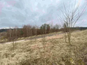 Dražba pole, Týn nad Vltavou, 440 m2