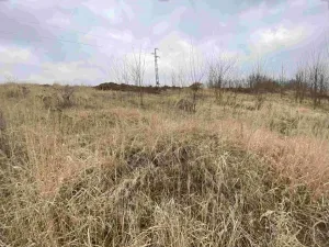 Dražba pole, Týn nad Vltavou, 440 m2