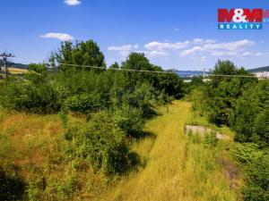 Pronájem zahrady, Malšovice, 8255 m2