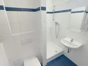 Pronájem bytu 1+kk, Praha - Libeň, Sokolovská, 29 m2