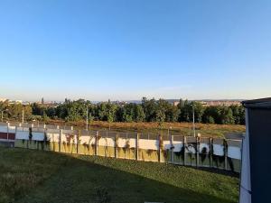 Pronájem bytu 2+1, Plzeň, Domažlická, 55 m2