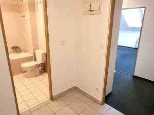 Pronájem bytu 2+1, Plzeň, Domažlická, 55 m2