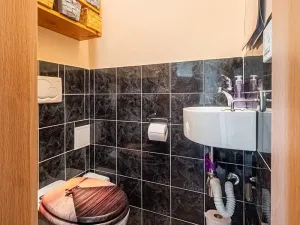 Prodej rodinného domu, Luže, Husova, 140 m2