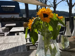 Prodej restaurace, Kvilda, 408 m2