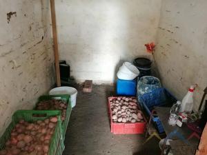 Prodej chaty, Břidličná, Nerudova, 16 m2