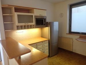 Pronájem bytu 6+kk a větší, Liberec - Liberec XIV-Ruprechtice, Purkyňova, 138 m2