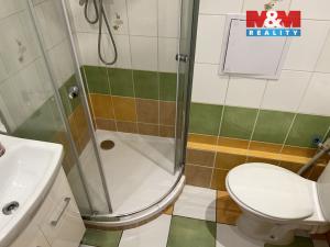 Pronájem bytu 1+kk, Hradec Králové - Slezské Předměstí, Gagarinova, 31 m2