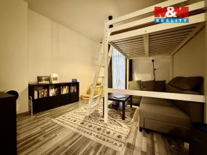 Pronájem bytu 1+kk, Ostrava - Moravská Ostrava, Zámecká, 44 m2