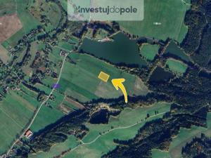 Prodej pole, Nové Hrady - Štiptoň, 5541 m2