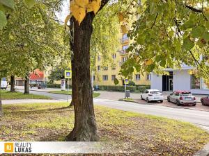 Prodej bytu 3+1, Ostrava, Hlavní třída, 66 m2