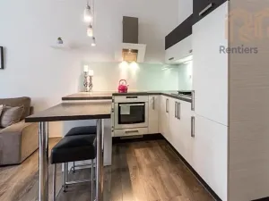Pronájem bytu 2+kk, Praha - Nusle, Jaromírova, 44 m2