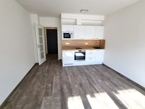 Pronájem bytu 1+kk, Praha - Třebonice, Thomasova, 30 m2