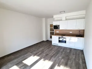 Pronájem bytu 1+kk, Praha - Třebonice, Thomasova, 30 m2