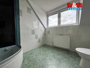 Pronájem rodinného domu, Dynín, 200 m2
