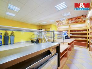 Pronájem obchodního prostoru, Třemošná, Plzeňská, 86 m2