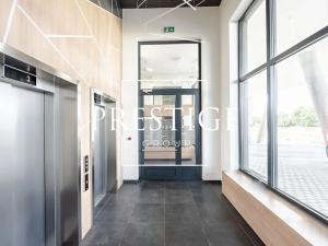 Pronájem bytu 1+kk, Praha, Zvěřinova, 39 m2