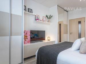 Prodej bytu 3+1, České Budějovice, K. Štěcha, 84 m2