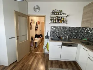 Prodej bytu 1+1, Praha - Vinoř, Českodubská, 45 m2
