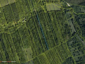 Prodej lesa, Kněždub, 1656 m2