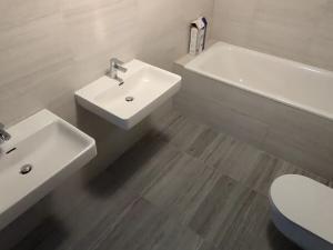 Pronájem bytu 2+kk, Praha - Karlín, Breitfeldova, 60 m2