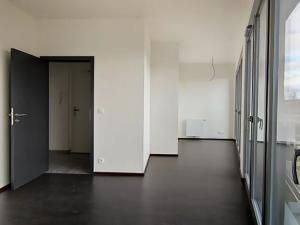 Pronájem bytu 2+kk, Praha - Karlín, Breitfeldova, 60 m2