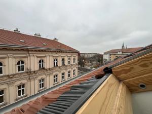 Pronájem bytu 1+kk, Brno, Vlhká, 27 m2
