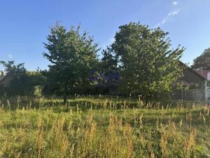 Prodej rodinného domu, Rohatec, Slovácká, 250 m2