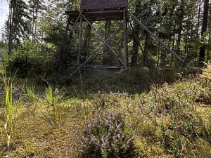 Prodej pozemku pro bydlení, Suchdol nad Lužnicí, 1001 m2