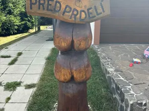 Prodej pozemku pro bydlení, Suchdol nad Lužnicí, 1001 m2