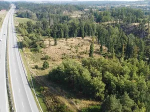 Dražba pozemku, Borek, 1351 m2