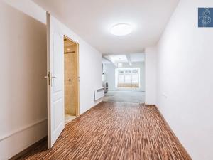 Prodej bytu 1+kk, Praha - Nusle, Na Jezerce, 35 m2