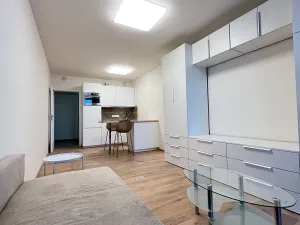 Pronájem bytu 1+kk, Praha - Smíchov, Holečkova, 8 m2