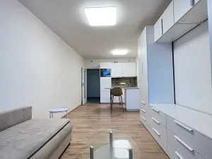 Pronájem bytu 1+kk, Praha - Smíchov, Holečkova, 8 m2