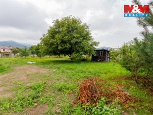 Prodej pozemku pro bydlení, Česká Ves, 2467 m2