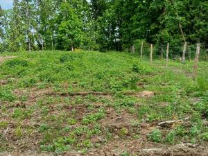 Prodej lesa, Hrazany - Klisinec, 9634 m2