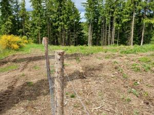 Prodej lesa, Hrazany - Klisinec, 9634 m2
