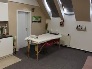 Pronájem obchodního prostoru, Prostějov, Wolkerova, 41 m2