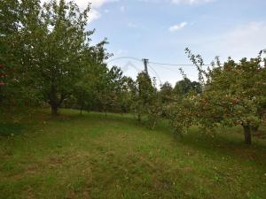 Prodej rodinného domu, Česká Ves, Za Řekou, 90 m2
