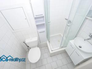 Prodej bytu 1+kk, Lázně Bohdaneč, Na Lužci, 30 m2