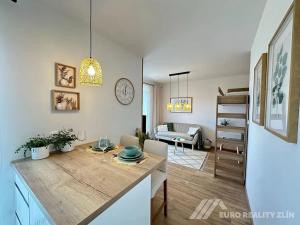 Pronájem bytu 1+kk, Zlín, Pod Hradem II, 29 m2